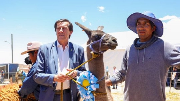 Sadir ponder&oacute; &eacute;l intercambio de experiencias que posibilit&oacute; la feria ganadera de Cam&eacute;lidos