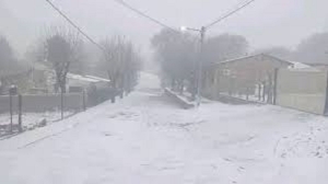 Sorpresiva nevada en San Luis: la Tormenta de Santa Rosa llev&oacute; nieve a casi toda la provincia
