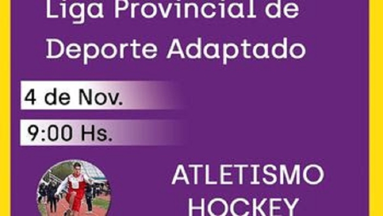 Liga Provincial de Deporte Adaptado en Palpal&aacute;