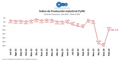 La industria pyme cay&oacute; 9,9% anual en febrero
