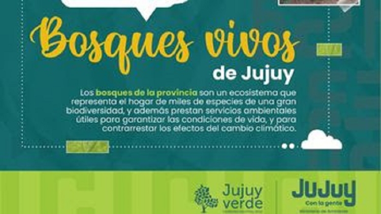 Bosques Vivos de Jujuy: se abre el concurso de fotograf&iacute;a ambiental del a&ntilde;o