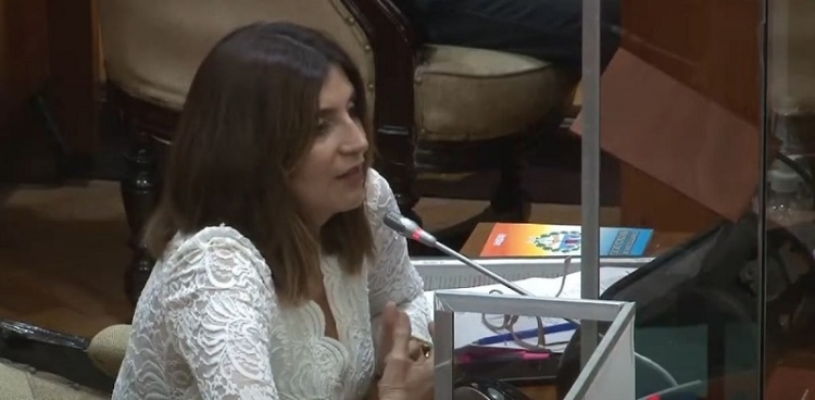 La diputada Mariela Ferreyra pido rendici&oacute;n de cuentas al consejo provincial de la mujer