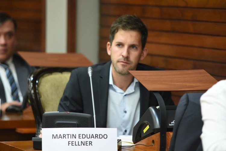 Fellner alert&oacute; sobre el riesgo de privatizar las sociedades del Estado sin diagn&oacute;stico ni datos concretos