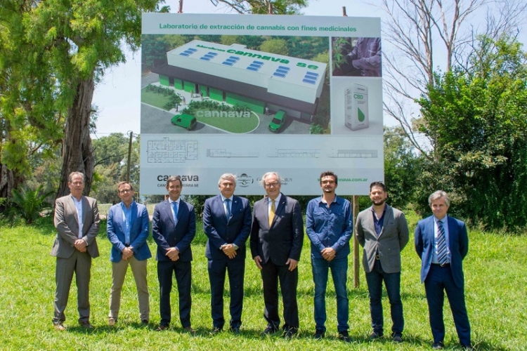 Inter&eacute;s alem&aacute;n en el proyecto juje&ntilde;o de cannabis medicinal