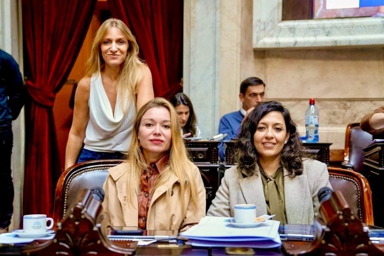 Leila Chaher: &ldquo;El Congreso va a investigar la mayor estafa en la que un presidente de la Naci&oacute;n se ve involucrado&rdquo;