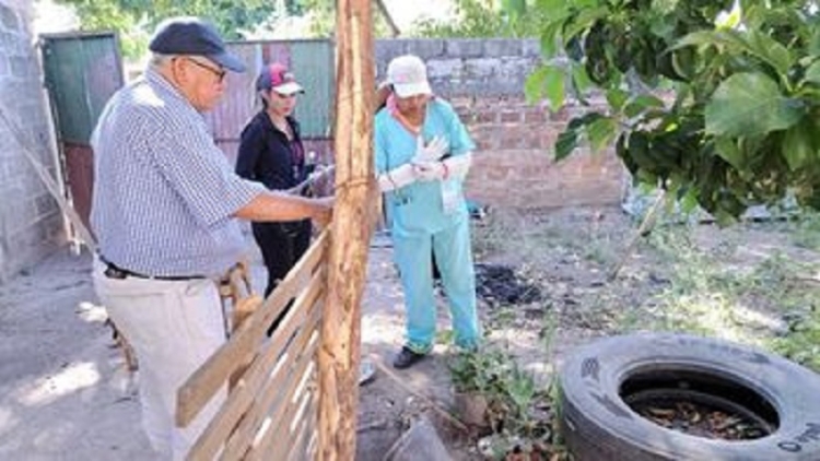 Dengue: eliminar criaderos de mosquitos reduce la posibilidad de contagio