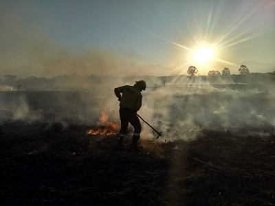Inicia temporada alta de incendios forestales: la prevenci&oacute;n es fundamental
