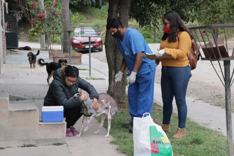 Palpal&aacute; ya aplic&oacute; m&aacute;s de 17.000 dosis para la prevenci&oacute;n de rabia y sarna en las mascotas