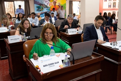 Concejales de la UCR repudian las expresiones de Milei en contra de Ra&uacute;l Alfons&iacute;n