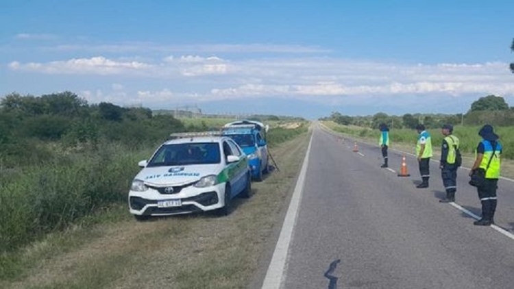 Seguridad Vial labr&oacute; m&aacute;s de 170 actas por alcoholemia positiva