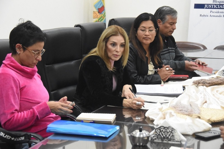 La comisi&oacute;n de Ambiente diagram&oacute; una agenda y emiti&oacute; despacho favorable