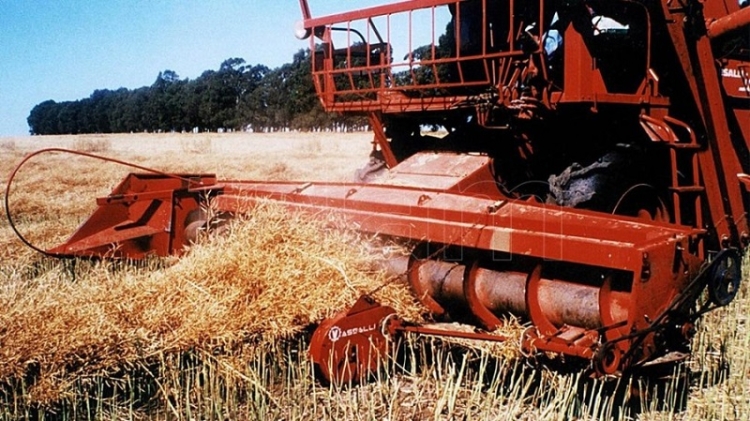 El sector agroexportador liquid&oacute; US$ 19.100 millones y quedan 21.400 millones por exportar