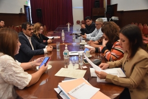 La Comisi&oacute;n de Cultura y Turismo trabaja en varios proyectos de ley y de declaraci&oacute;n