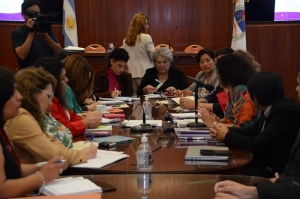 La Comisi&oacute;n de Igualdad y G&eacute;nero recibi&oacute; al Consejo Provincial de la Mujer