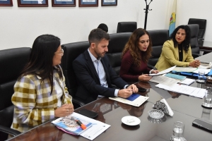 La Comisi&oacute;n de Obras y Servicios P&uacute;blicos avanz&oacute; en tres proyectos vinculados a infraestructura, seguridad vial y obra p&uacute;blica