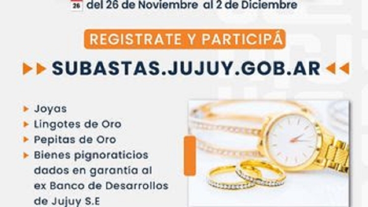 Primera Subasta Electr&oacute;nica