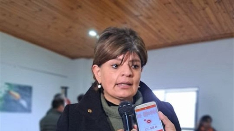 Litio: Zigar&aacute;n destac&oacute; el rol del Estado en el control y como garante del derecho ambiental