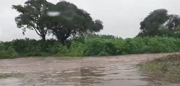Vialidad de la Provincia asisti&oacute; en rutas afectadas por las lluvias