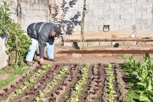 Taller gratuito de autoproducci&oacute;n de semillas en Palpal&aacute;