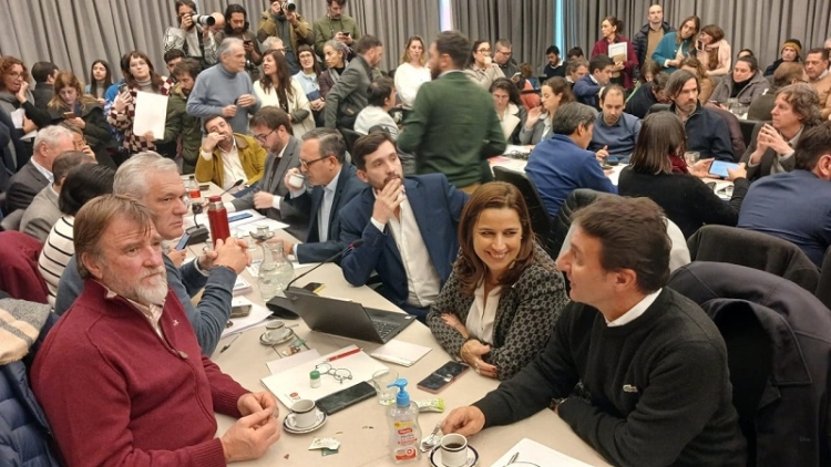 Rizzotti: &ldquo;en los dos casos por jujuy, acompa&ntilde;o al senado con la ley bases e insistir&eacute; por el paquete fiscal&rdquo;