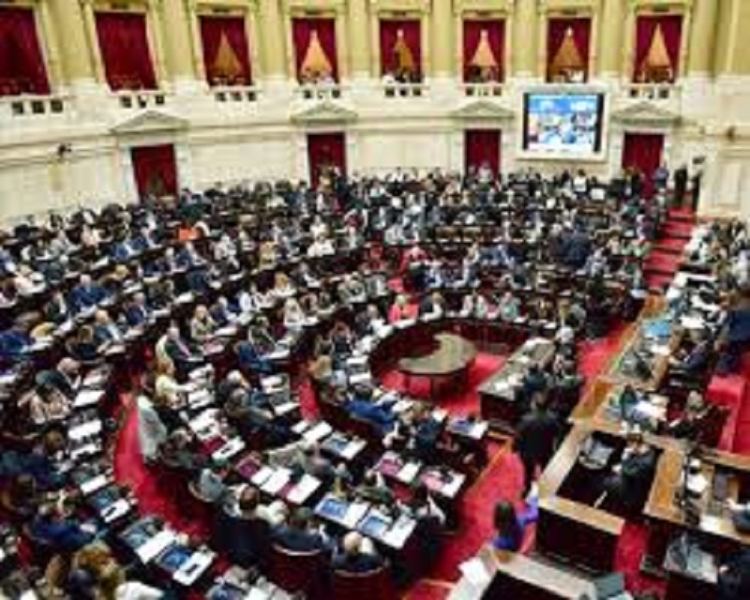 Oposici&oacute;n prepara sesi&oacute;n en Diputados para insistir con la Ley Garrahan y frenar vetos de Milei