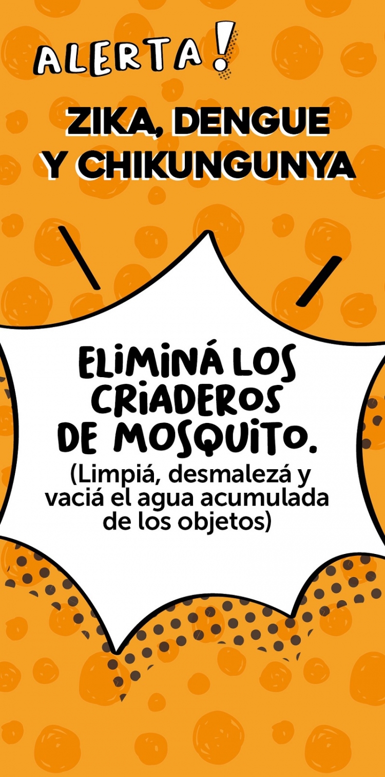 Dengue: eliminá todos los criaderos de mosquitos