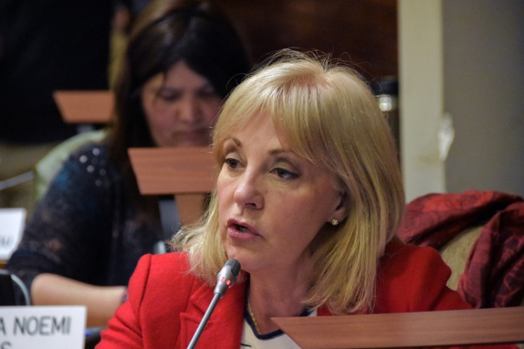 Fellner celebr&oacute; la aprobaci&oacute;n del Impuesto extraordinario  para aplacar el impacto  econ&oacute;mico de la pandemia