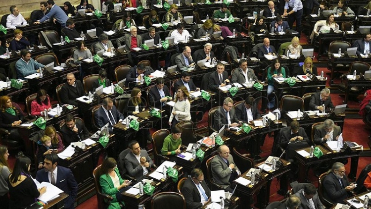Ingresaron a Diputados los proyectos de legalizaci&oacute;n del aborto y Plan de los 1000 d&iacute;as
