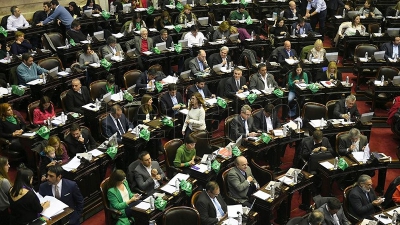 Ingresaron a Diputados los proyectos de legalizaci&oacute;n del aborto y Plan de los 1000 d&iacute;as