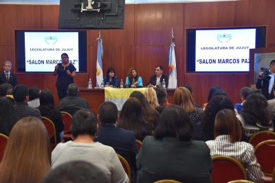 En la Legislatura se desarroll&oacute; Jornada informativa de sobre Discapacidad
