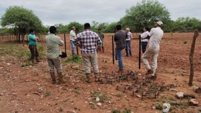 Proyecto para pastura en el "Chaco Juje&ntilde;o"