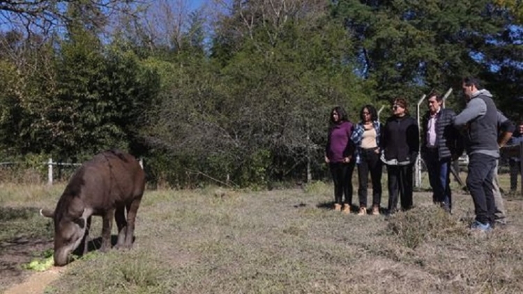 Sadir visit&oacute; el Centro de Atenci&oacute;n de la Fauna Aut&oacute;ctona