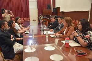 Plenario de Comisiones emiti&oacute; despacho para la adhesi&oacute;n a la Ley nacional de Oncopediatr&iacute;a