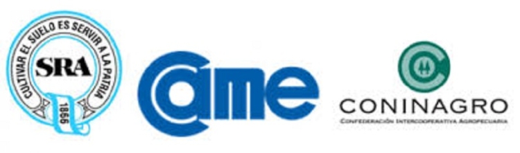 &ldquo;Ante la pasividad de la Justicia del Trabajo, recurrimos a la Corte Suprema&rdquo;