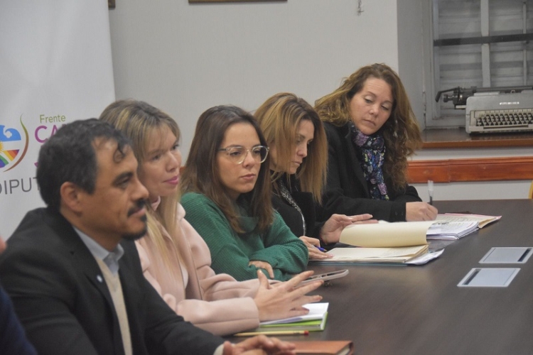 La comisi&oacute;n de salud se reuni&oacute; con la nueva comisi&oacute;n directiva del Colegio de Farmac&eacute;uticos