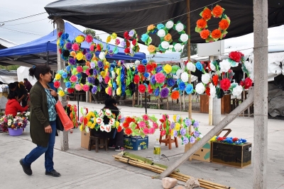 Palpal&aacute; tendr&aacute; un paseo peatonal de las ofrendas en los d&iacute;as de los santos y fieles difuntos