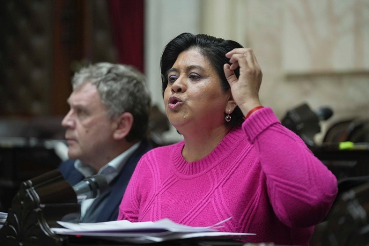 Sarapura: &ldquo;ni obsecuentes ni obstructores: dem&oacute;cratas&rdquo;