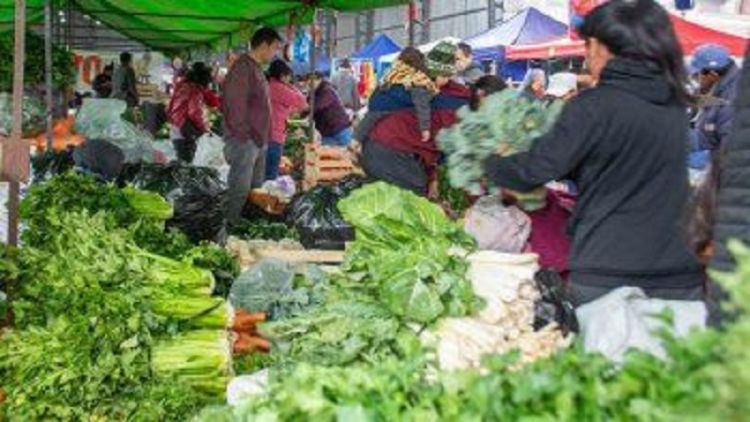 Fruct&iacute;fera edici&oacute;n de la Feria Campesina Pucar&aacute; en la Vieja Estaci&oacute;n