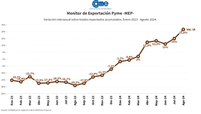 De enero a agosto, las exportaciones de las pymes crecieron un 21,6% en d&oacute;lares y un 11% en toneladas