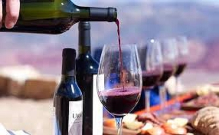 Jujuy, la tierra de vinos &uacute;nicos, busca posicionarse como nuevo destino enotur&iacute;stico