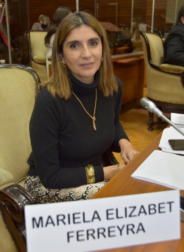 Ferreyra lament&oacute; que el proyecto de ley sobre endometriosis no tenga presupuesto