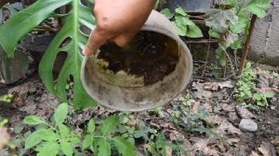 Con trabajo integrado permanente, Jujuy contin&uacute;a sin casos de dengue