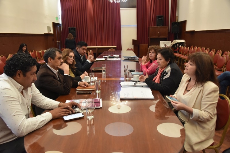 La comisi&oacute;n de Educaci&oacute;n trata la implementaci&oacute;n de una ley provincial de lenguaje de se&ntilde;as