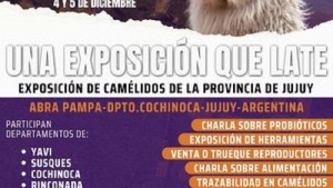 "Llama Viva: una exposici&oacute;n que late" en Abra Pampa