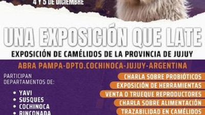 "Llama Viva: una exposici&oacute;n que late" en Abra Pampa
