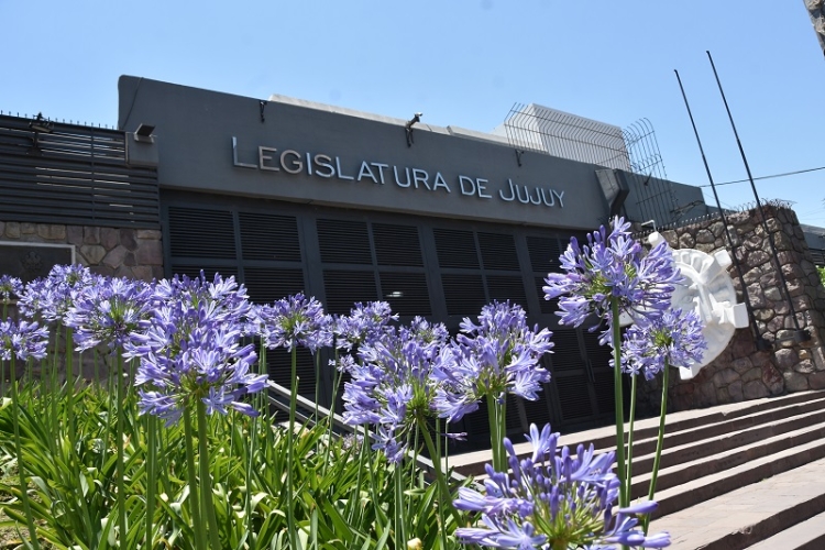 La comisi&oacute;n de finanzas recibi&oacute; al ministro de hacienda carlos sadir