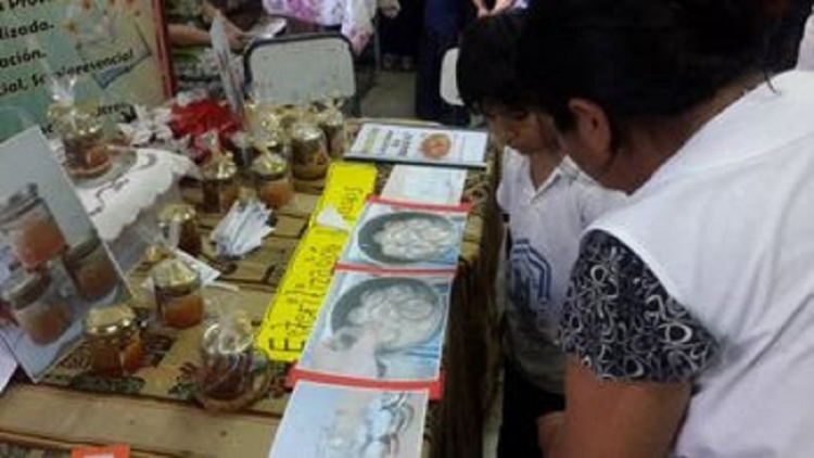 Confirman fechas para la Feria Provincial de Arte, Ciencias y Tecnolog&iacute;a 2024