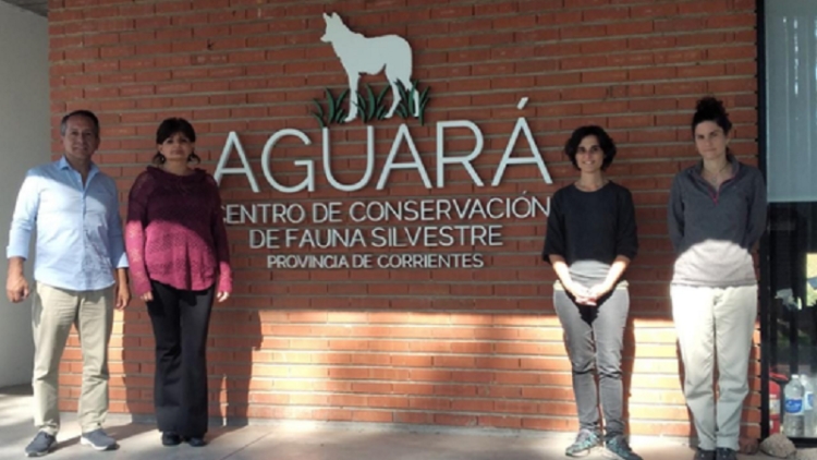 Jujuy avanza en un convenio que permitirá la reintroducción de fauna nativa en Corrientes