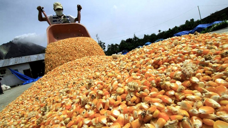 Corrientes, La Pampa y Santiago del Estero, &uacute;nicas provincias que aumentaron exportaciones