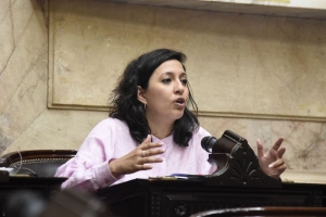 Chaher cruz&oacute; a la senadora Mois&eacute;s por su voto a favor del RIGI